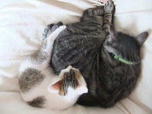 DSCF8589.JPG