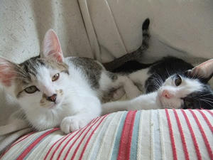 DSCF8777.JPG