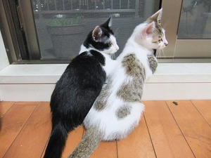 DSCF8788.JPG