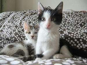 DSCF8518.JPG