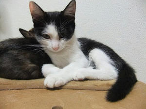 DSCF8752.JPG