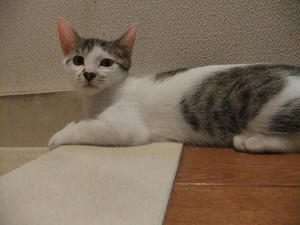 DSCF8800.JPG