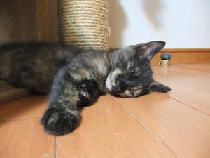 DSCF8850.JPG