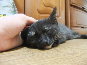DSCF8838.JPG