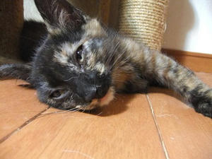 DSCF8855.JPG