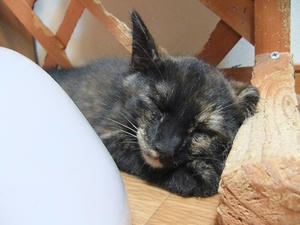 DSCF8842.JPG