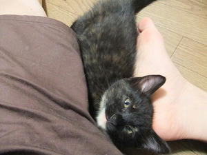 DSCF8942.JPG