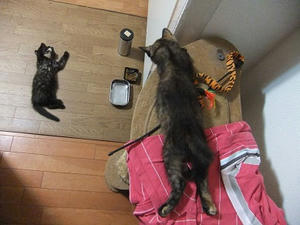 DSCF8957.JPG