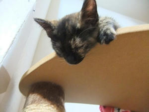 DSCF8955.JPG