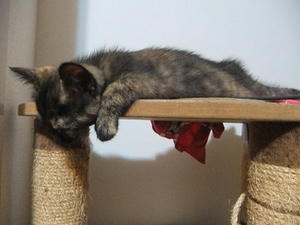 DSCF8939.JPG