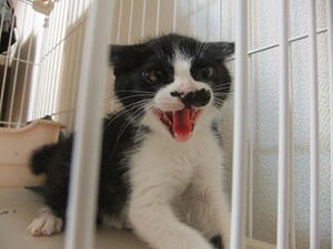 DSCF8831.JPG