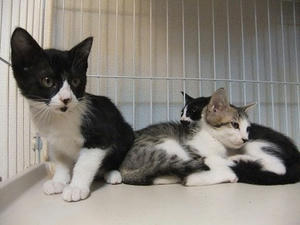 DSCF8938.JPG