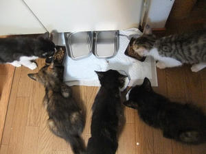 DSCF9013.JPG