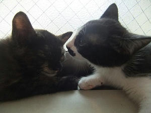 DSCF8996.JPG