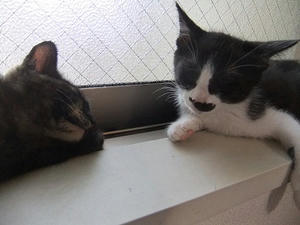 DSCF8994.JPG