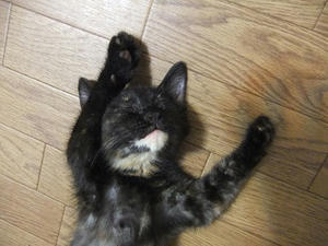 DSCF8961.JPG