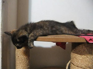 DSCF8956.JPG