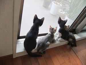 DSCF9039.JPG