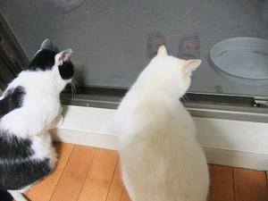 DSCF9181.JPG