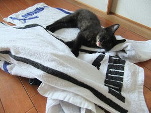 DSCF9163.JPG