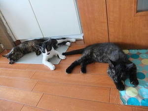 DSCF9218.JPG
