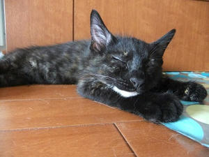 DSCF9219.JPG