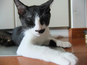 DSCF9221.JPG