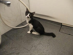 DSCF9227.JPG