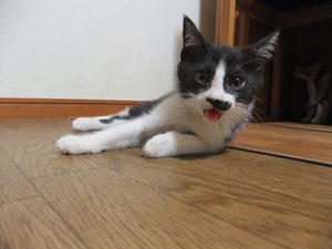 DSCF8981.JPG