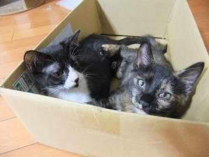 DSCF9173.JPG