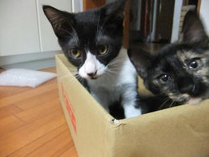 DSCF9171.JPG