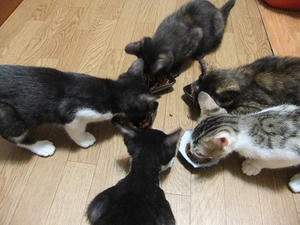 DSCF9230.JPG