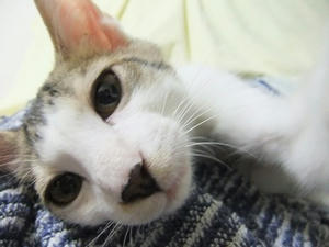 DSCF9211.JPG