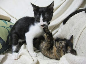 DSCF9206.JPG