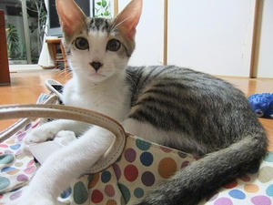 DSCF9235.JPG
