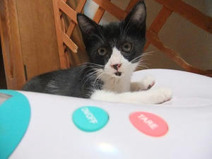 DSCF8980.JPG