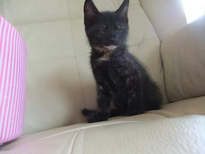 DSCF8880.JPG