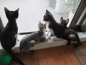 DSCF9037.JPG