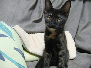 DSCF9261.JPG
