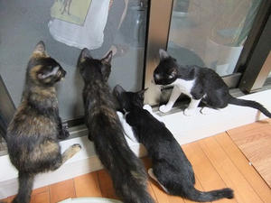 DSCF9263.JPG