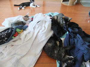 DSCF9244.JPG