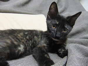 DSCF9259.JPG