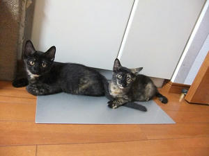 DSCF9240.JPG