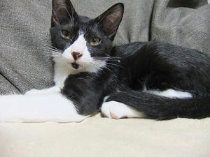 DSCF9250.JPG