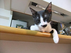 DSCF9252.JPG