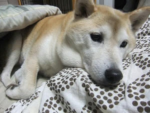DSCF7789.JPG