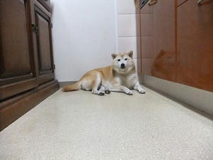 DSCF8322.JPG