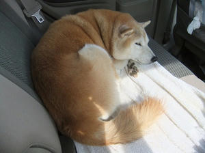 DSCF9153.JPG