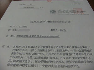DSCF9324.JPG