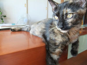 DSCF9289.JPG